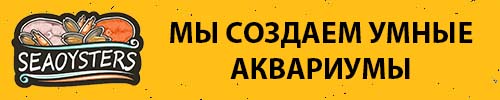 Seaoysters баннер мобильный